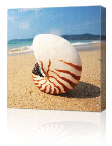 12x12" (30x30cm)  Canvas Print